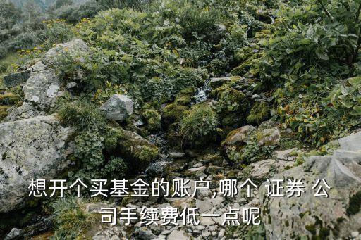 想開個(gè)買基金的賬戶,哪個(gè) 證券 公司手續(xù)費(fèi)低一點(diǎn)呢