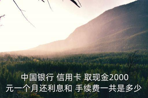 中國銀行信用取現(xiàn)手續(xù)費(fèi)