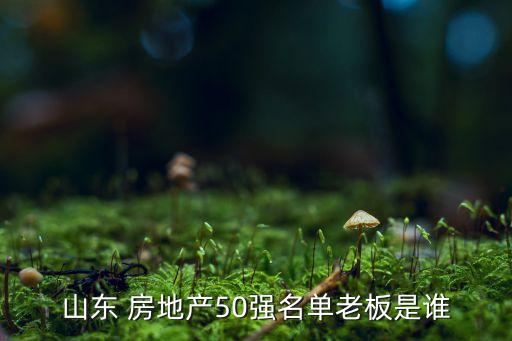 山東 房地產50強名單老板是誰