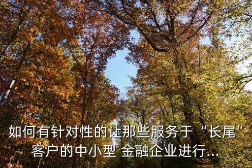 如何有針對(duì)性的讓那些服務(wù)于“長尾”客戶的中小型 金融企業(yè)進(jìn)行...