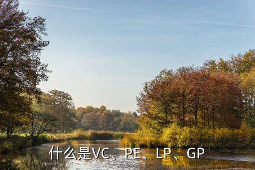 什么是VC、PE、LP、GP
