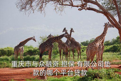  重慶市與眾融資 擔(dān)保 有限公司墊款的哪個平臺貸款