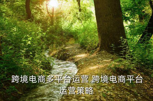  跨境電商多平臺運(yùn)營 跨境電商平臺運(yùn)營策略