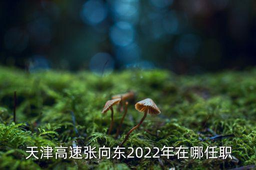  天津高速?gòu)埾驏|2022年在哪任職