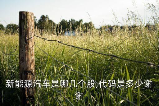 新能源汽車是哪幾個(gè)股,代碼是多少謝謝
