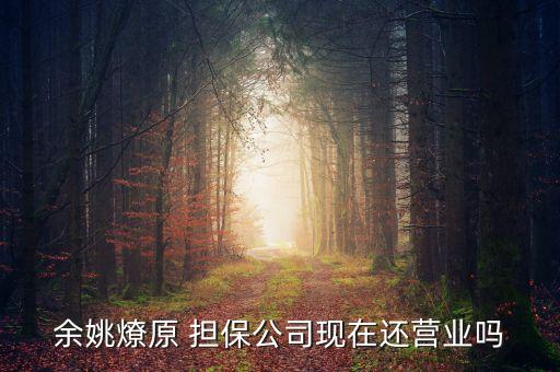 余姚燎原 擔保公司現在還營業(yè)嗎