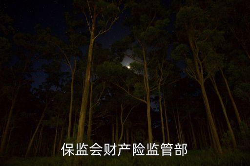 保監(jiān)會財產險監(jiān)管部