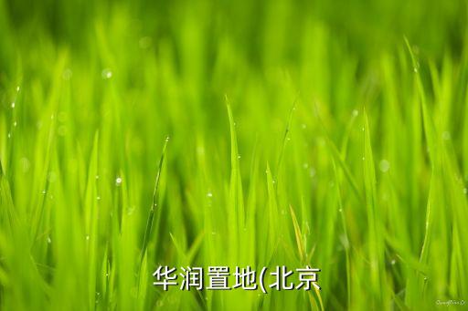  華潤(rùn)置地(北京