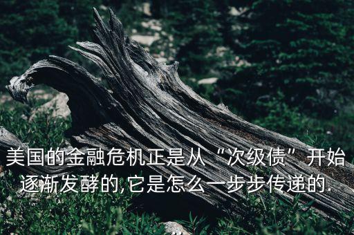 美國(guó)的金融危機(jī)正是從“次級(jí)債”開始逐漸發(fā)酵的,它是怎么一步步傳遞的...