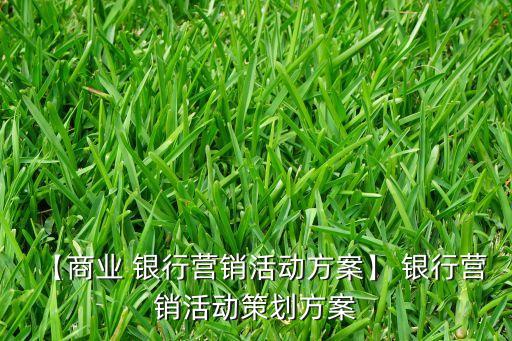 【商業(yè) 銀行營銷活動(dòng)方案】 銀行營銷活動(dòng)策劃方案