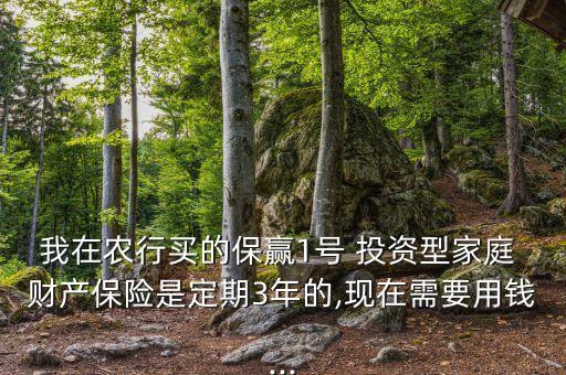 我在農(nóng)行買的保贏1號 投資型家庭 財(cái)產(chǎn)保險(xiǎn)是定期3年的,現(xiàn)在需要用錢...