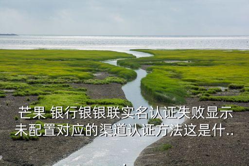  芒果 銀行銀銀聯(lián)實名認證失敗顯示未配置對應的渠道認證方法這是什...