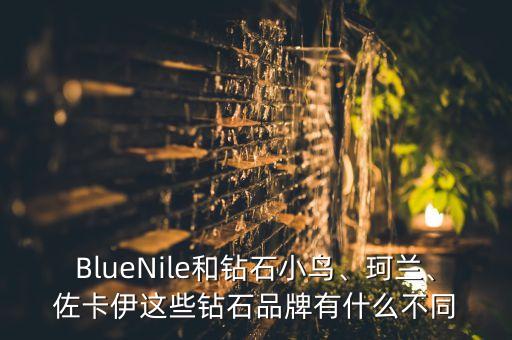 BlueNile和鉆石小鳥(niǎo)、珂蘭、佐卡伊這些鉆石品牌有什么不同