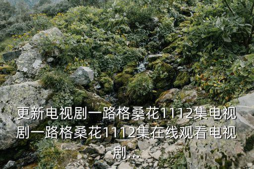 更新電視劇一路格桑花1112集電視劇一路格?；?112集在線觀看電視劇...