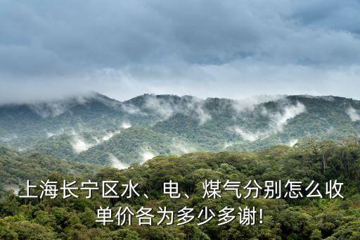  上海長寧區(qū)水、電、煤氣分別怎么收單價各為多少多謝!