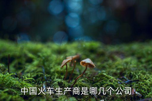 中國(guó)火車生產(chǎn)商是哪幾個(gè)公司