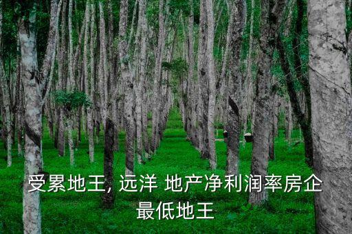遠洋地產海外投資,中國人壽投資遠洋地產