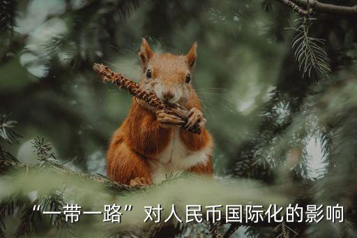 “一帶一路”對(duì)人民幣國(guó)際化的影響