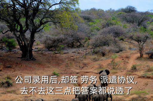 公司錄用后,卻簽 勞務(wù) 派遣協(xié)議,去不去這三點(diǎn)把答案都說(shuō)透了