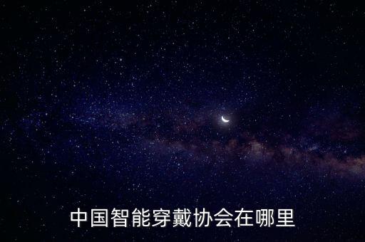 藍(lán)海國(guó)際控股有限公司,深圳中電藍(lán)?？毓捎邢薰靖笨偨?jīng)理
