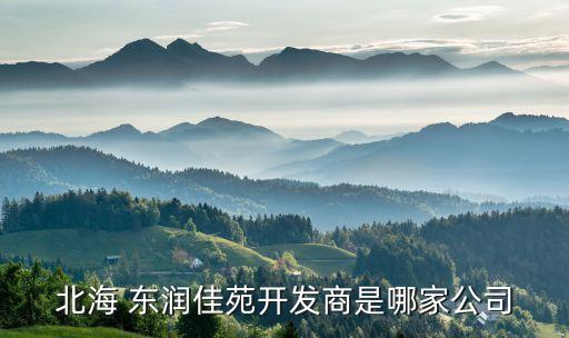 富陽東潤置業(yè)有限公司,常州東潤置業(yè)發(fā)展有限公司