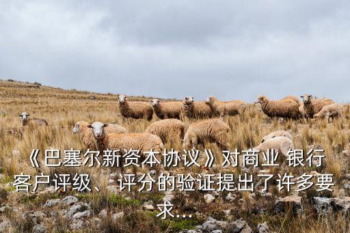 《巴塞爾新資本協(xié)議》對商業(yè) 銀行 客戶評級、 評分的驗(yàn)證提出了許多要求...