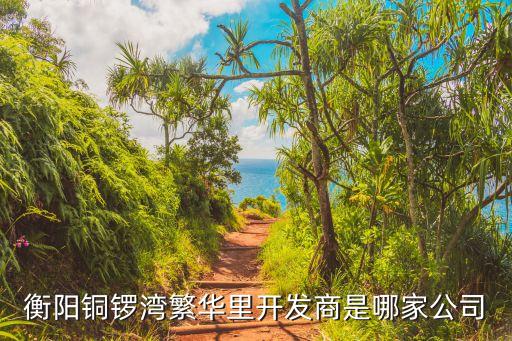 衡陽(yáng)銅鑼灣繁華里開(kāi)發(fā)商是哪家公司