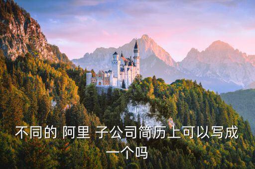 不同的 阿里 子公司簡(jiǎn)歷上可以寫成一個(gè)嗎