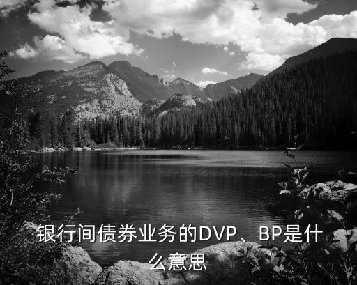  銀行間債券業(yè)務(wù)的DVP、BP是什么意思