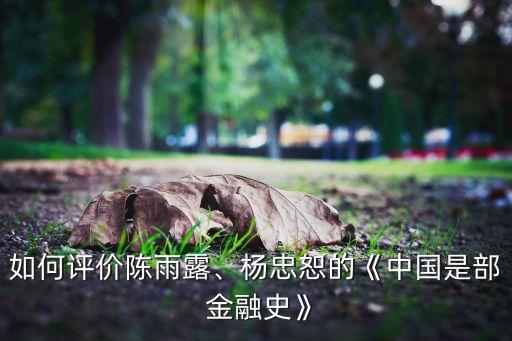 如何評價陳雨露、楊忠恕的《中國是部 金融史》