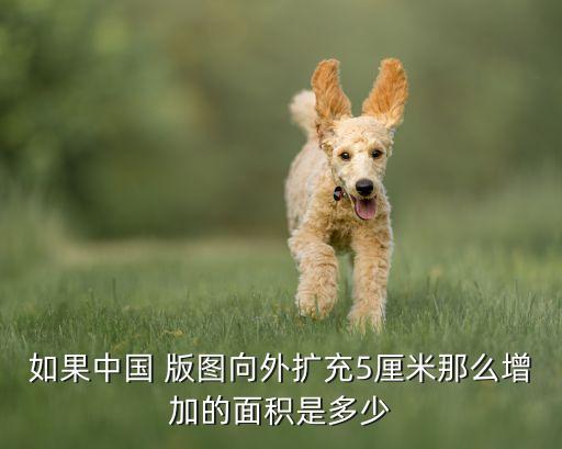 如果中國(guó) 版圖向外擴(kuò)充5厘米那么增加的面積是多少