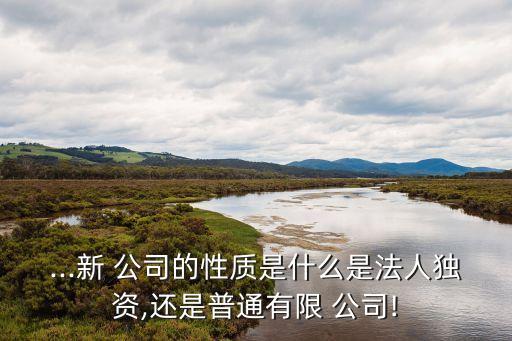 ...新 公司的性質是什么是法人獨資,還是普通有限 公司!