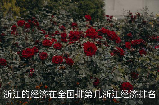 浙江的經(jīng)濟(jì)在全國(guó)排第幾浙江經(jīng)濟(jì)排名