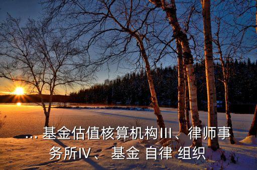 ... 基金估值核算機(jī)構(gòu)Ⅲ、律師事務(wù)所Ⅳ、 基金 自律 組織