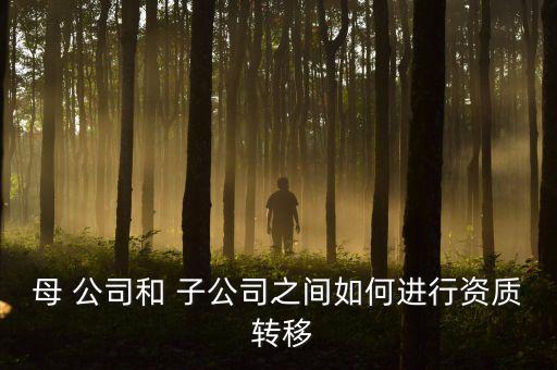 母 公司和 子公司之間如何進行資質 轉移