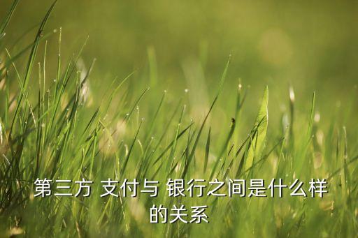  第三方 支付與 銀行之間是什么樣的關系