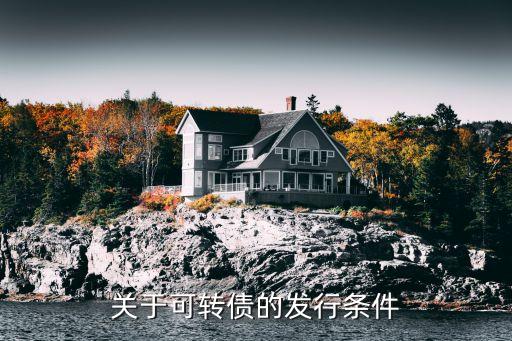 關于可轉債的發(fā)行條件
