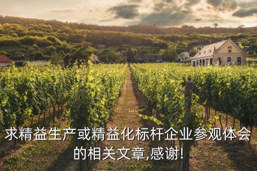 求精益生產(chǎn)或精益化標桿企業(yè)參觀體會的相關(guān)文章,感謝!