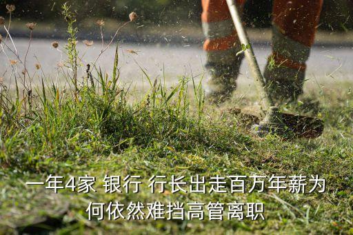 一年4家 銀行 行長(zhǎng)出走百萬年薪為何依然難擋高管離職