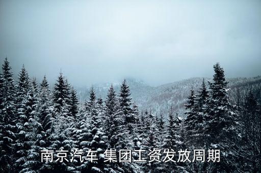 南汽集團(tuán)俞建偉,南汽俞建偉個人資料