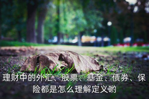 理財中的外匯、股票、基金、債券、保險都是怎么理解定義喲