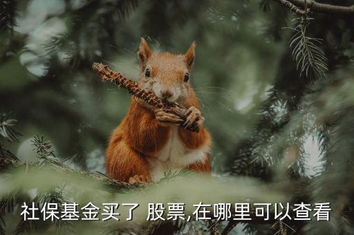社?；鹳I了 股票,在哪里可以查看