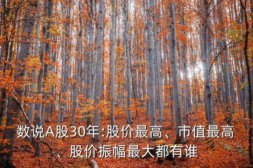 數(shù)說(shuō)A股30年:股價(jià)最高、市值最高、股價(jià)振幅最大都有誰(shuí)