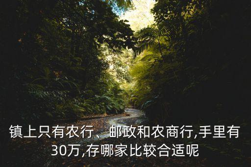 鎮(zhèn)上只有農(nóng)行、郵政和農(nóng)商行,手里有30萬(wàn),存哪家比較合適呢