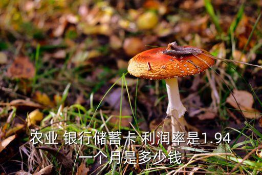 農(nóng)業(yè) 銀行儲(chǔ)蓄卡 利潤(rùn)率是1.94一個(gè)月是多少錢