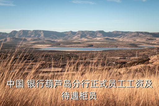 銀行處長的真實收入,銀行理財經理真實收入