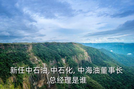 新任中石油,中石化, 中海油董事長,總經理是誰