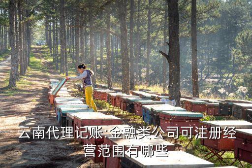  云南代理記賬:金融類(lèi)公司可注冊(cè)經(jīng)營(yíng)范圍有哪些