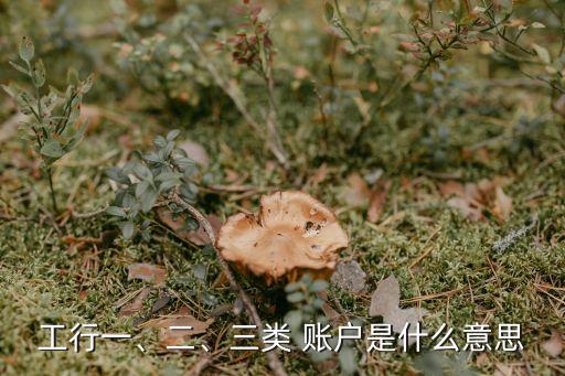 工行一、二、三類 賬戶是什么意思