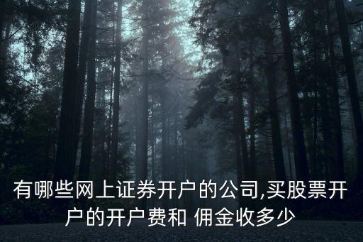 有哪些網(wǎng)上證券開(kāi)戶的公司,買(mǎi)股票開(kāi)戶的開(kāi)戶費(fèi)和 傭金收多少
